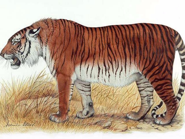 25 Animals That Scientists Want to Bring Back From Extinction : ScienceAlert
