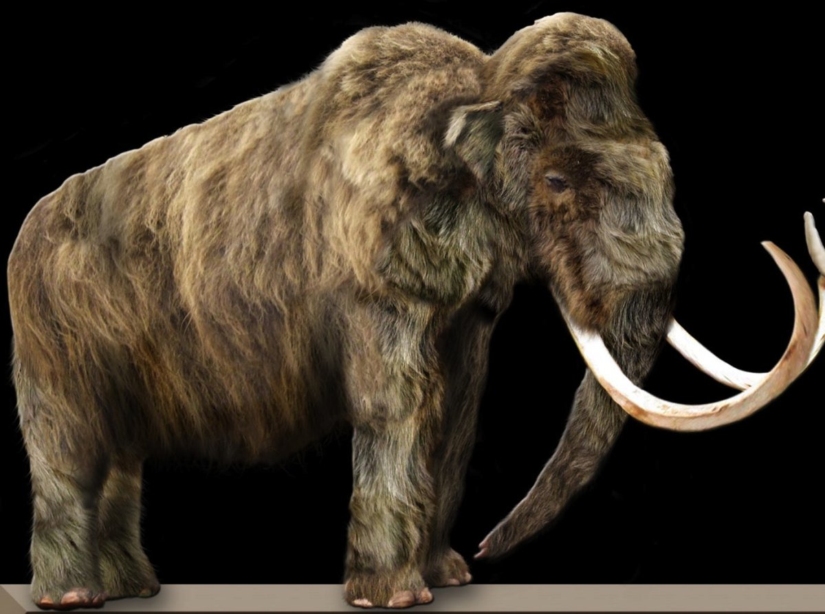 25 Extinct Animals That Scientists Want to Bring Back