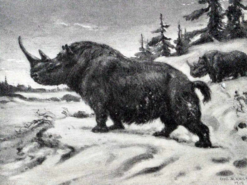 Extinct8