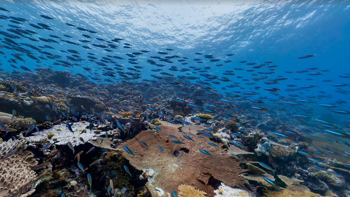 Google underwater Street View