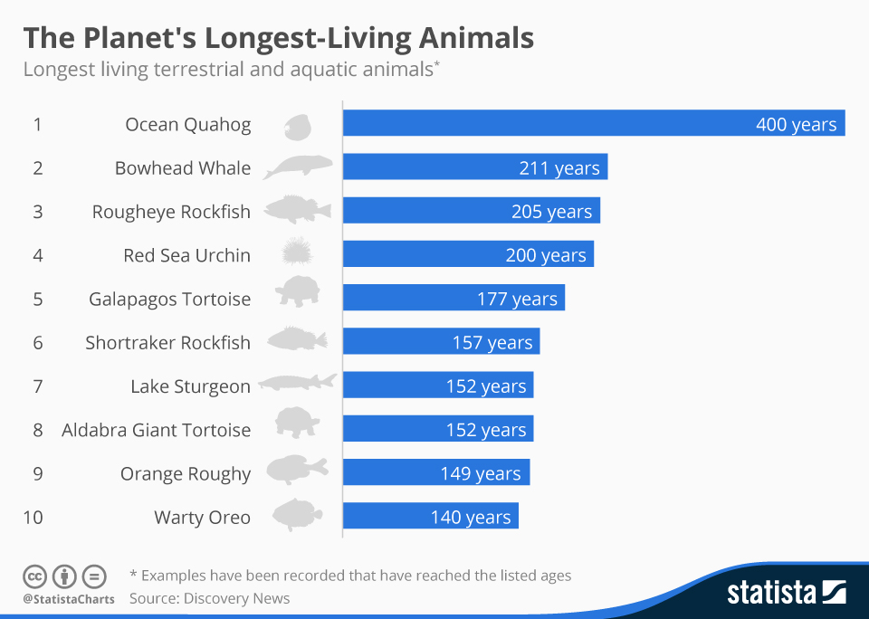 LongestAnimals