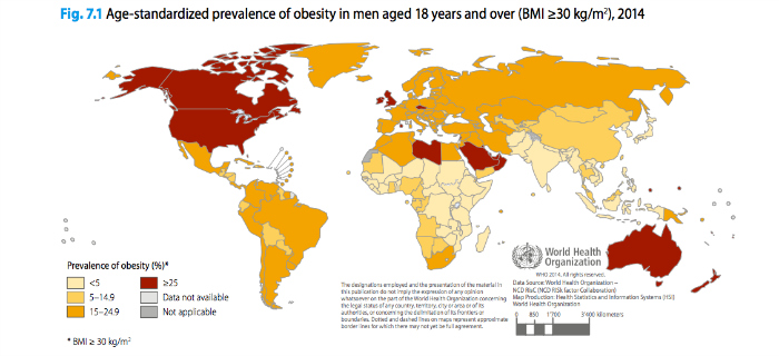 MenObese small