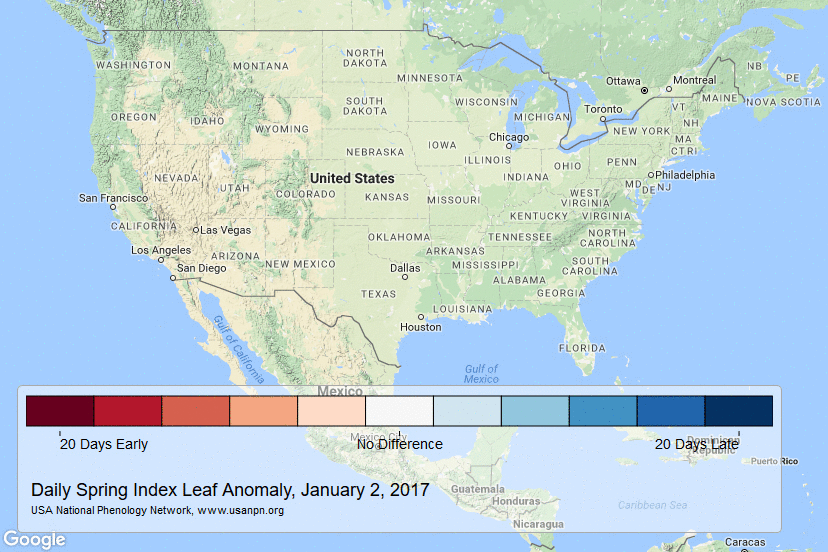 USA-NPN Advance of Spring - weekly animation for early 2017 1