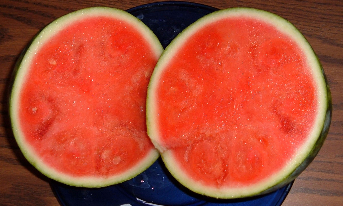 Watermelon2 مجلة نقطة العلمية