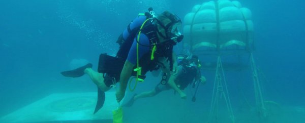 These underwater biospheres in Italy could be the farms of the future