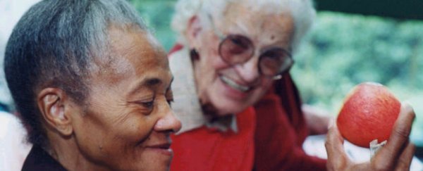 Analysis of world's oldest people reveals there's no gene for long life