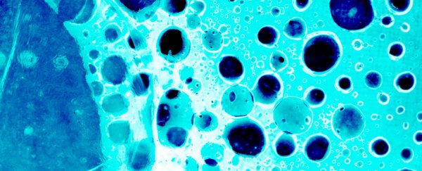 Experimental drug fights cancer by 'waking up' the immune system