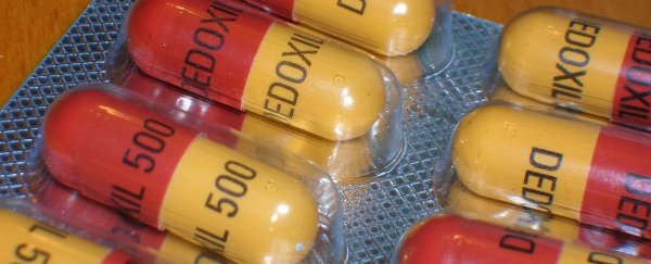 Antibiotics can improve autism in some children, new paper suggests
