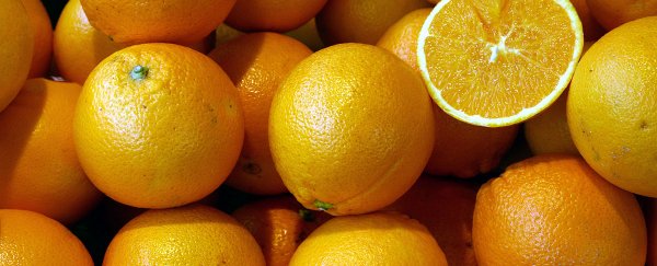 Plants regulate their vitamin C in unexpected ways