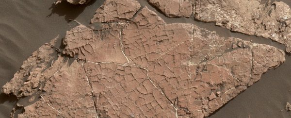 Curiosity just found the first evidence of ancient mud cracks on Mars