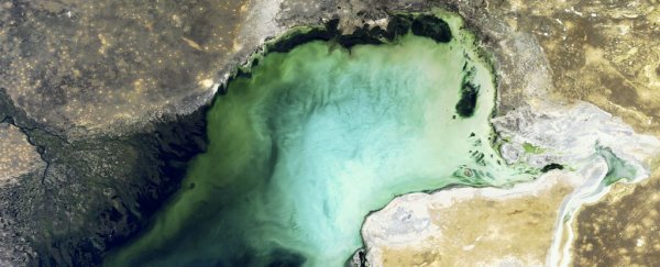 We finally know why the Caspian Sea is evaporating off the face of the planet