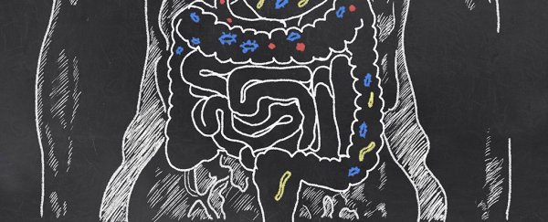 We may have just found the hormone that lets gut bacteria talk to the brain
