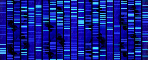 Tensions flare as scientists go public with plan to build synthetic human DNA