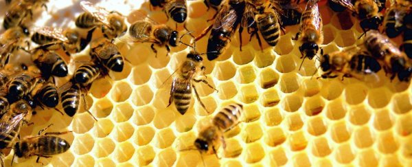 Bees make a ridiculously cute "Whoop" noise when they're startled