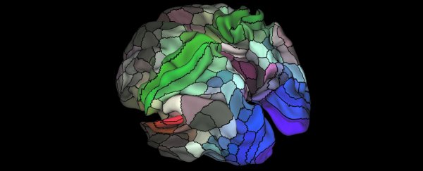 Scientists just identified 97 brand-new regions in our brains
