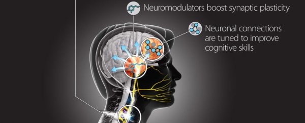 The US military wants to hack the human brain to help us learn a second language faster