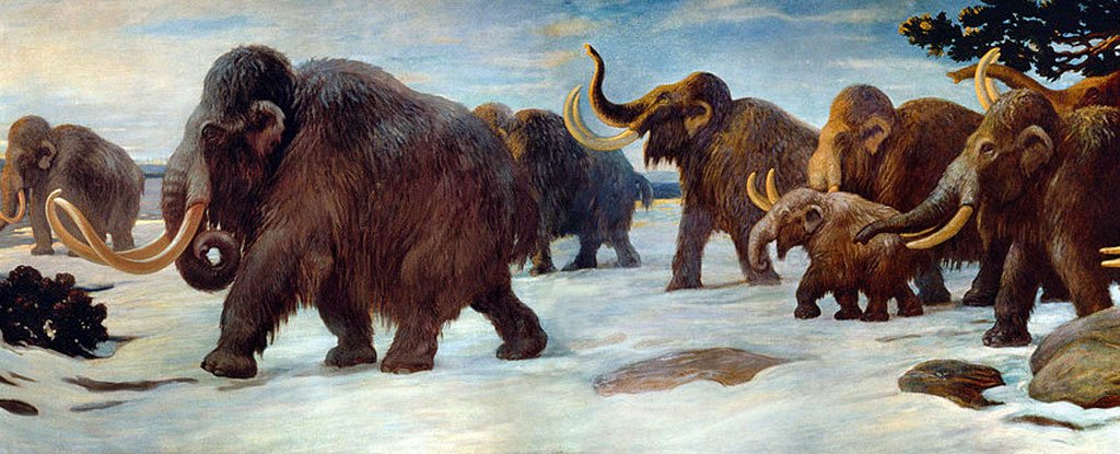 Woolly Mammoths Suffered a "Genomic Meltdown" on The Path to Extinction
