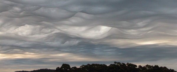 It's official: There are now 12 new cloud types to fall in love with