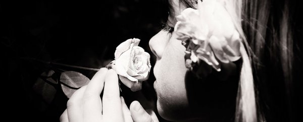 Sense of smell could tell us how long we’ll live, say researchers