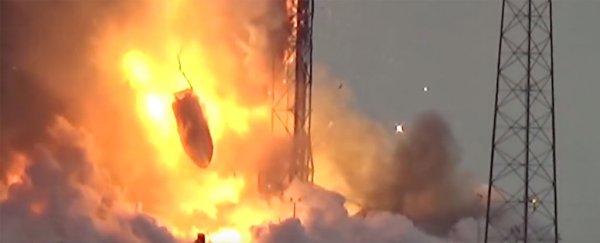SpaceX could be grounded for up to 1 year after its Falcon 9 rocket explosion