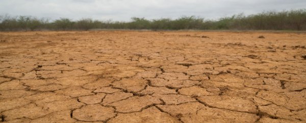The world has lost a third of its farmable land in the last 40 years