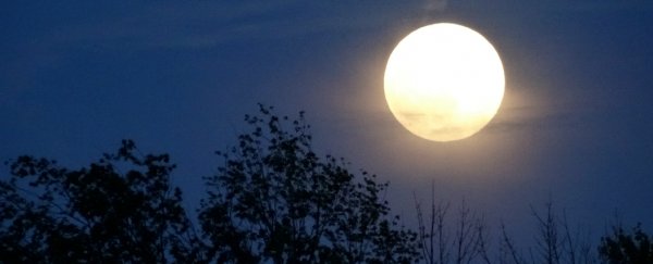 A rare blue moon is happening this Friday, but it won't be changing colour