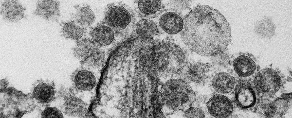 The US just ended its own ban on engineering deadly viruses in the lab