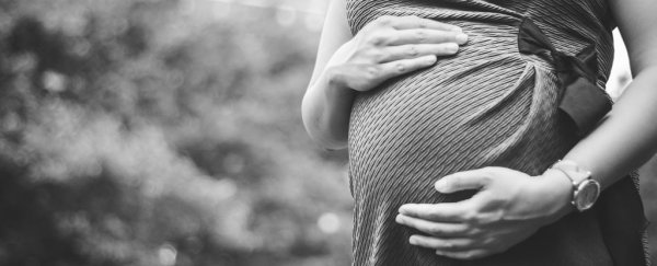 Frozen embryos are now as successful as fresh embryos in IVF treatments