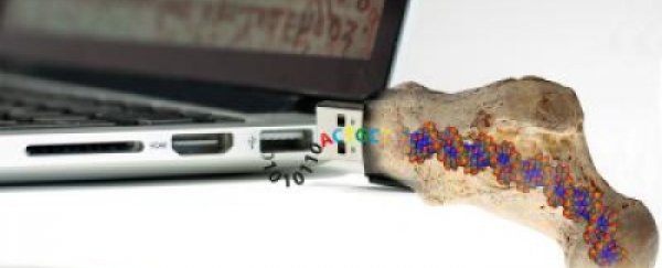 A DNA hard drive has been built that can store data for 1 MILLION years