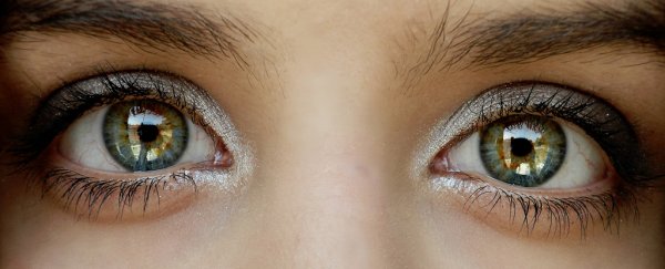 What we know affects our visual perception of the world, study finds