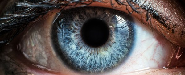 A new invisible film made from healthy corneal cells could restore vision to millions