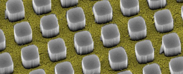 New 'invisible' nano-wires hide from the sun for increased solar cell efficiency