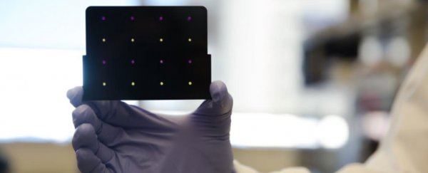 This new low-cost test can diagnose Zika in just 3 hours