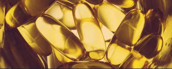 Fish oil turns fat-storage cells into fat-burning cells in mice, study finds