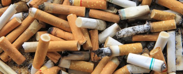 Scientists have found a way to build houses out of 1.2 million tonnes of discarded cigarette butts