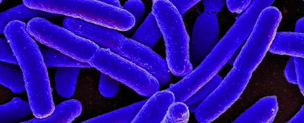 New light-activated nanoparticles kill over 90% of antibiotic-resistant bacteria