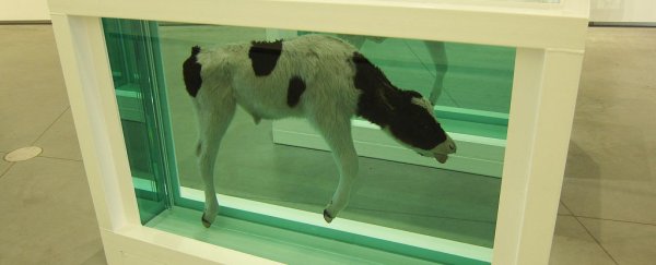Damien Hirst's controversial artworks could be leaking poisonous chemicals