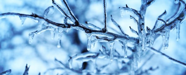 Meet aeroice: scientists just engineered the lowest density ice crystals ever