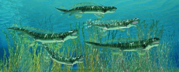 These 300-million-year-old sharks ate their own babies and pooped them out in spirals