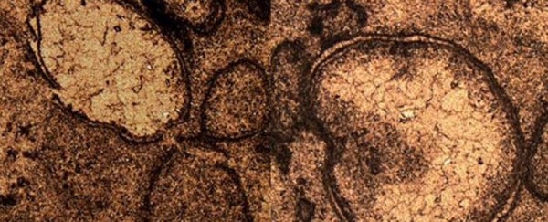 This new-found asteroid impact may have been deadlier than what killed the dinosaurs