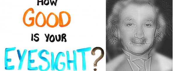 WATCH: Do you see Einstein or Marilyn Monroe in this photo?