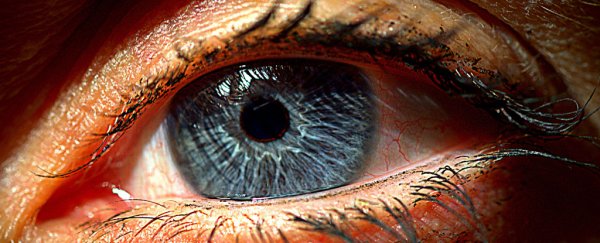 Scientists have created an artificial retina implant that could restore vision to millions