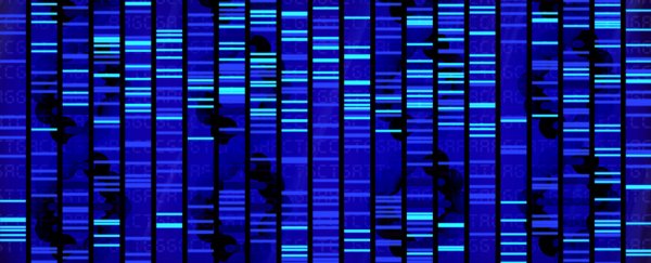 You can now sequence your entire genome for under $1,000