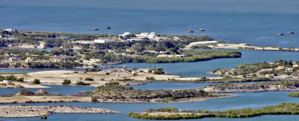 Scientists want to turn Guantanamo Bay prison camp into a marine research lab