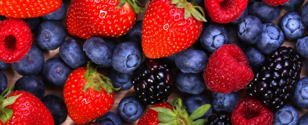 Fruits high in flavonoids are associated with less weight gain, study finds