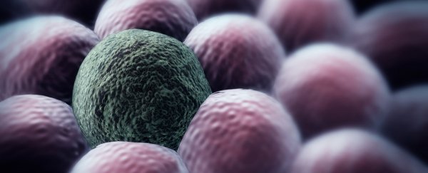There’s a new approach to fighting cancer: keeping cancer cells alive