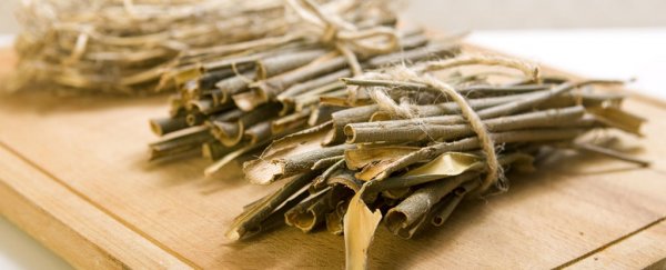 Scientists have isolated 6 natural compounds that could help us slow down ageing