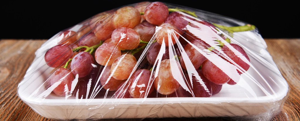 Best Mylar Bags For Food Storage From Desk Jockey To