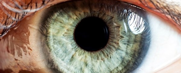Scientists are using gene editing to repair a mutation that causes blindness