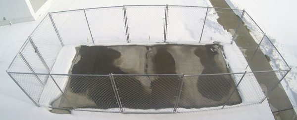 This electrically conductive concrete melts snow without chemicals